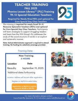 Learning Bursts Flyer